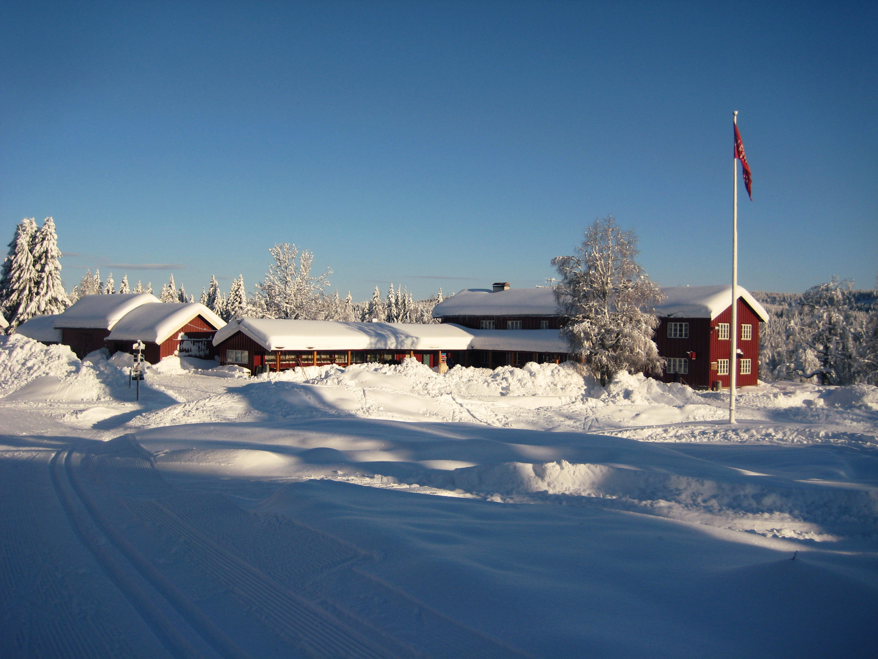 Ullevålseter vinter, fra julegrana