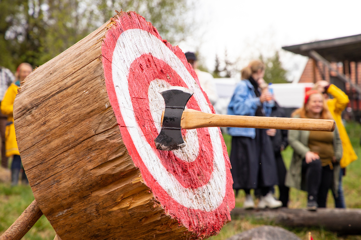 Øks i stubbe